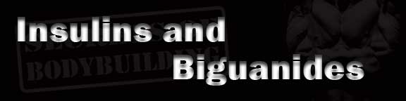 Insulins and Biguanides