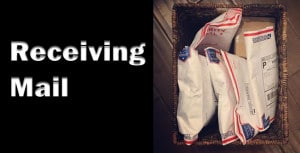 Receiving Steroids In The Mail 33 Receiving Mail