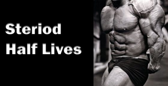 Steroid Half Lifes