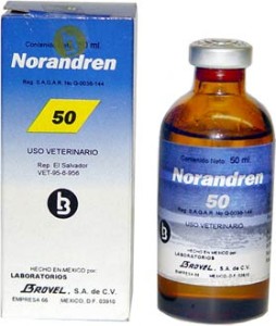 noradren50f-STEROIDS ONLINE