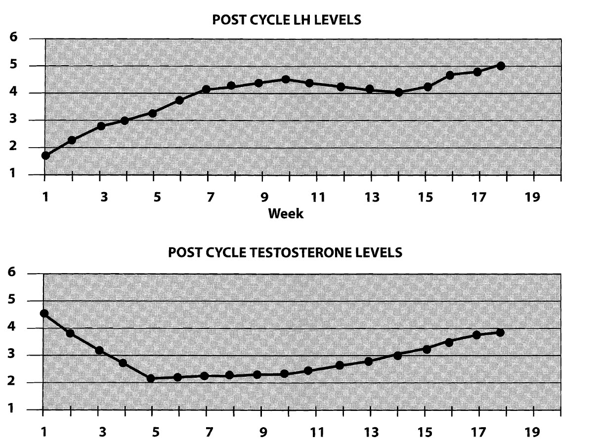 post cycle levels