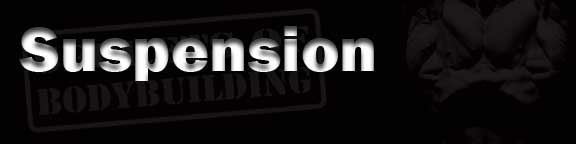 Suspension