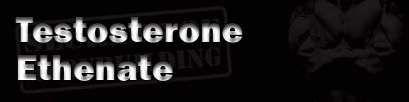 Testosterone-Ethenate