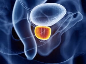 prostate_gland