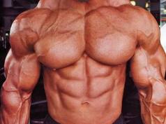 Muscle Enzyme