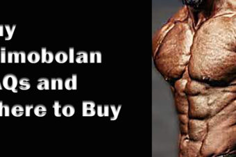 Buy Primobolan