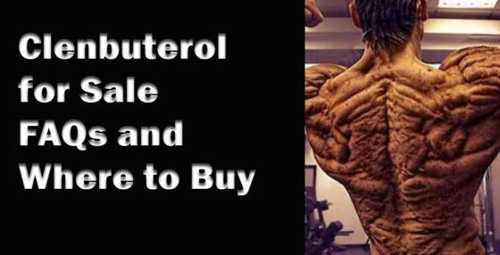 Buy Clenbuterol for sale online: where to buy clenbuterol and how to take clenbuterol