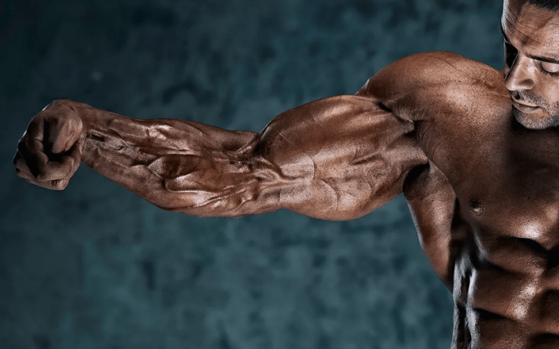 Primobolan user flexing