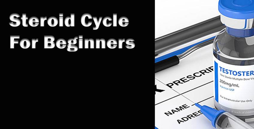 A Beginner’s Guide to Steroid Cycles: Understanding the Basics